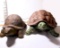 Pair of Resin Turtles