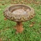 Concrete Bird Bath with Oak Leaf Design