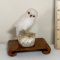 Etched Stone Owl on Wood Base Made in India