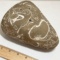 Very Cool Hand Painted Fossilized Rock