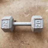 20 Lb. Solid Hex Dumbbell