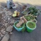 Lot of Decorative Yard Items