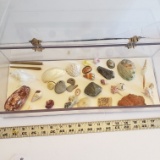 Plexiglass Display Case Full of Unique Finds From Archaeologist Collection