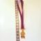 Hejaz Shriners Crown of Honor Purple Ribbon Award Medallion