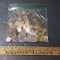 Bag Of Assorted Wheat Pennies