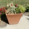 Large Clay Planter with Plants