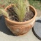 Large Clay Planter with Decorative Grass