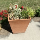 Large Clay Planter with Plants