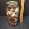 Vintage Kerr Self Sealing Wide Mouth Half Gallon Mason Jar Filled with Shells