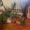 Large Lot of Imitation Flowers and Plants - Some Nice Containers