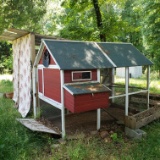 Lot of 2 Chicken Coops and Accessories, Very Nice