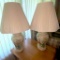Pair of Beautiful Ginger Jar Lamps with Floral Fronts