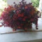 Large Flower Arrangement In Brass Planter