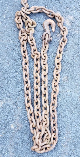 10 Foot Heavy Duty Chain with Grab Hook