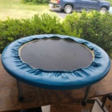 Rebounder/Trampoline