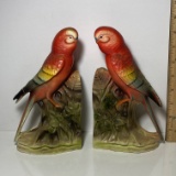 Pair of Pretty Colorful Parakeet Bookends