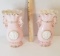 Pretty Pair of Pink Porcelain Vases with Handles