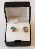 Gold Tone Earrings with Blue Stones