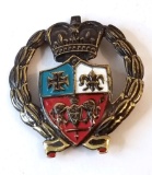 Vintage Crest Pin