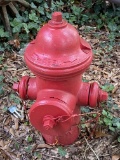 Red Fire Hydrant