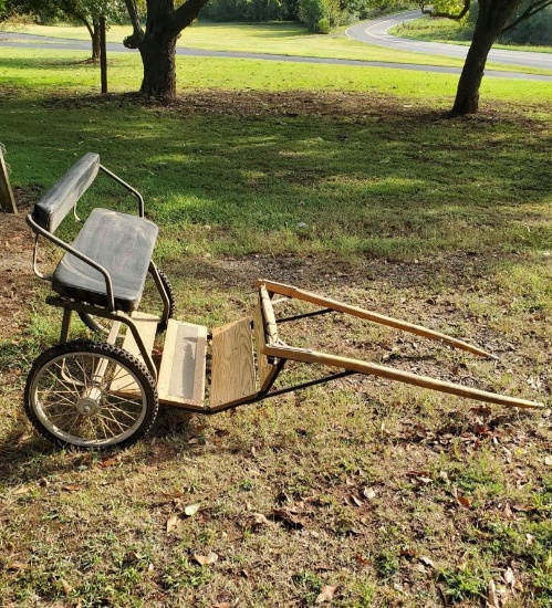 Hand Pulled Rickshaw