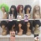 Lot of 10 Assorted Wigs, Freetress, Brazilian Virgin Remi, Femi and More