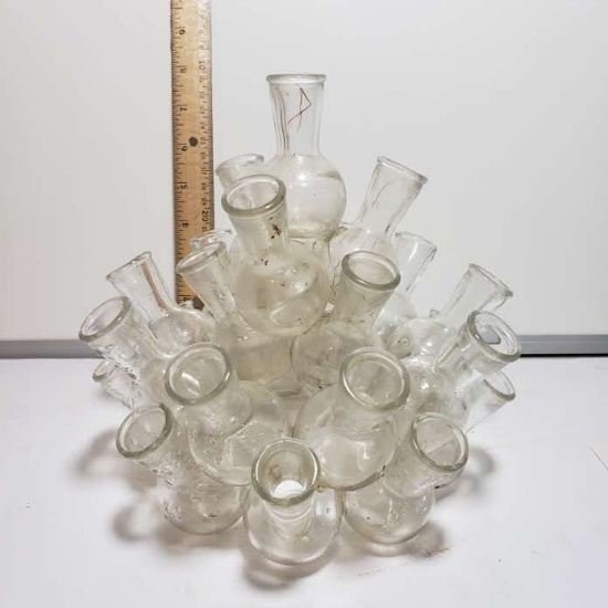 Vintage Glass Beaker Plant Propagation Station