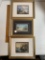 Set of Three Lighthouse Prints in Gold Colored Frames