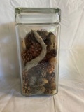 Vintage Glass Jar with Assorted Pine Cones/Wood Pieces