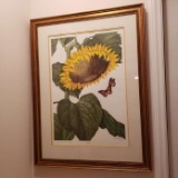 Sunflower Print in Gilt Frame