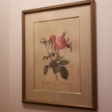 Vintage Rose Print in Gilt Frame, Marked The Bombay Co.