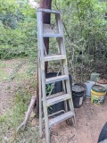 Vintage Metal Ladder