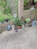 Lot of Pots and Planters