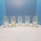 5 Piece Set Clear Whitehall Glasses