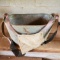 Galvanized Harvesting Bucket with Strap