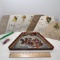 Hand Painted Lap Harp with Music & Picks