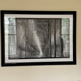 Framed Black & White Rows of Trees Print