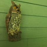 Plastic Garden Owl