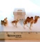 Vintage Bone China Miniature Camel Figurines in Box