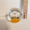 Art Glass Paper Weight