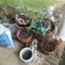 Lot of Garden Items