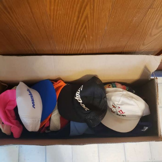 Box Lot of Assorted Baseball Caps