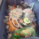 Tote Lot of Assorted TY Beanie Babies