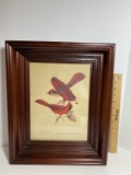 Vintage Richmondena Cardinals In Wooden Frame