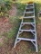 Werner 8 Foot Step Fiberglass Ladder