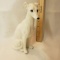 Vintage Ceramic Greyhound Sculpture