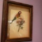 Vintage Gold Finch 3D Bird Print