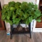 Black Wicker Planter Stand and Contents