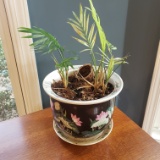 Ceramic Oriental Planter with Live Plant