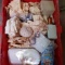 Tote Lot of Assorted Seashells